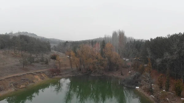 Lago Sombrio Uma Floresta — Fotografia de Stock