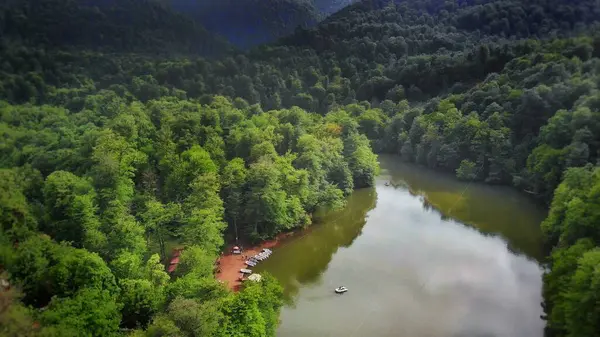 Piękne Jezioro Zielonym Lesie — Zdjęcie stockowe