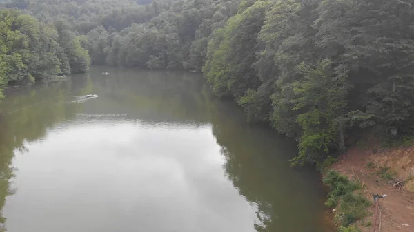 Piękne Jezioro Zielonym Lesie — Zdjęcie stockowe