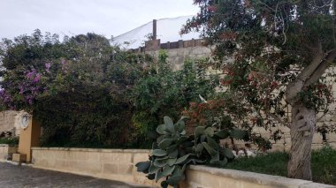 Akdeniz 'e yakın güzel Malta Valletta