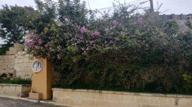 Akdeniz 'e yakın güzel Malta Valletta