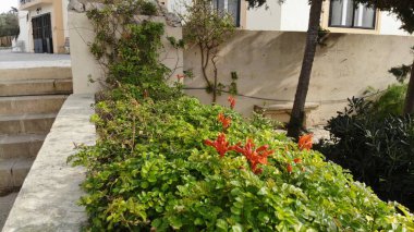 Güzel Malta Valletta, Akdeniz kıyısında.