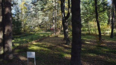 Avrupa 'da Güzel Yoğunluk Ormanı (124; 4K Hava Aracı: Lush Green Woodland Arazi Çekimi: 124; Doğal Çevre, Ağaçlar ve Vahşi Yaşam: 124; Huzurlu Doğa, Çevre, Çevre Turizmi ve Manzara Ormanı Fotoğrafı.