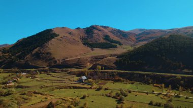 Avrupa 'da Güzel Yoğunluk Ormanı (124; 4K Hava Aracı: Lush Green Woodland Arazi Çekimi: 124; Doğal Çevre, Ağaçlar ve Vahşi Yaşam: 124; Huzurlu Doğa, Çevre, Çevre Turizmi ve Manzara Ormanı Fotoğrafı.