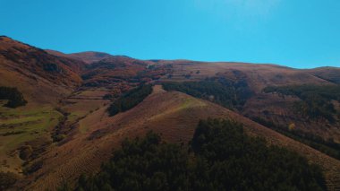 Avrupa 'da Güzel Yoğunluk Ormanı (124; 4K Hava Aracı: Lush Green Woodland Arazi Çekimi: 124; Doğal Çevre, Ağaçlar ve Vahşi Yaşam: 124; Huzurlu Doğa, Çevre, Çevre Turizmi ve Manzara Ormanı Fotoğrafı.