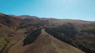 Avrupa 'da Güzel Yoğunluk Ormanı (124; 4K Hava Aracı: Lush Green Woodland Arazi Çekimi: 124; Doğal Çevre, Ağaçlar ve Vahşi Yaşam: 124; Huzurlu Doğa, Çevre, Çevre Turizmi ve Manzara Ormanı Fotoğrafı.