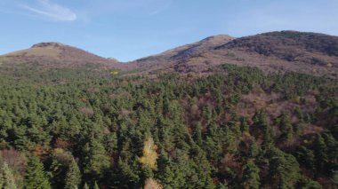 Avrupa 'da Güzel Yoğunluk Ormanı (124; 4K Hava Aracı: Lush Green Woodland Arazi Çekimi: 124; Doğal Çevre, Ağaçlar ve Vahşi Yaşam: 124; Huzurlu Doğa, Çevre, Çevre Turizmi ve Manzara Ormanı Fotoğrafı.