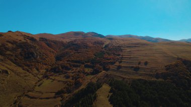 Avrupa 'da Güzel Yoğunluk Ormanı (124; 4K Hava Aracı: Lush Green Woodland Arazi Çekimi: 124; Doğal Çevre, Ağaçlar ve Vahşi Yaşam: 124; Huzurlu Doğa, Çevre, Çevre Turizmi ve Manzara Ormanı Fotoğrafı.