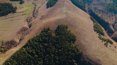 Avrupa 'da Güzel Yoğunluk Ormanı (124; 4K Hava Aracı: Lush Green Woodland Arazi Çekimi: 124; Doğal Çevre, Ağaçlar ve Vahşi Yaşam: 124; Huzurlu Doğa, Çevre, Çevre Turizmi ve Manzara Ormanı Fotoğrafı.