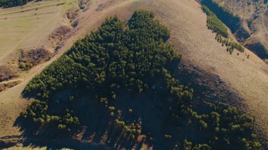 Avrupa 'da Güzel Yoğunluk Ormanı (124; 4K Hava Aracı: Lush Green Woodland Arazi Çekimi: 124; Doğal Çevre, Ağaçlar ve Vahşi Yaşam: 124; Huzurlu Doğa, Çevre, Çevre Turizmi ve Manzara Ormanı Fotoğrafı.