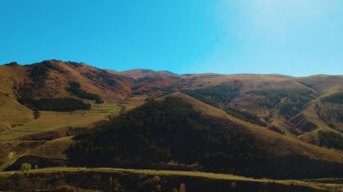 Avrupa 'da Güzel Yoğunluk Ormanı (124; 4K Hava Aracı: Lush Green Woodland Arazi Çekimi: 124; Doğal Çevre, Ağaçlar ve Vahşi Yaşam: 124; Huzurlu Doğa, Çevre, Çevre Turizmi ve Manzara Ormanı Fotoğrafı.