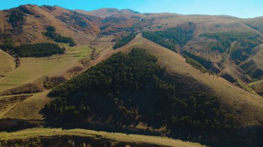 Avrupa 'da Güzel Yoğunluk Ormanı (124; 4K Hava Aracı: Lush Green Woodland Arazi Çekimi: 124; Doğal Çevre, Ağaçlar ve Vahşi Yaşam: 124; Huzurlu Doğa, Çevre, Çevre Turizmi ve Manzara Ormanı Fotoğrafı.