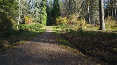 Avrupa 'daki Güzel Yoğunluk Ormanı (124; 4K Hava Aracı: Lush Green Woodland Manzarası 124; Doğal Çevre, Ağaçlar ve Yaban Hayatı - 124; Huzurlu Doğa, Çevre Turizmi ve Manzarası Ormanı