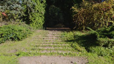 Avrupa 'daki Güzel Yoğunluk Ormanı (124; 4K Hava Aracı: Lush Green Woodland Manzarası 124; Doğal Çevre, Ağaçlar ve Yaban Hayatı - 124; Huzurlu Doğa, Çevre Turizmi ve Manzarası Ormanı