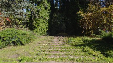 Avrupa 'daki Güzel Yoğunluk Ormanı (124; 4K Hava Aracı: Lush Green Woodland Manzarası 124; Doğal Çevre, Ağaçlar ve Yaban Hayatı - 124; Huzurlu Doğa, Çevre Turizmi ve Manzarası Ormanı