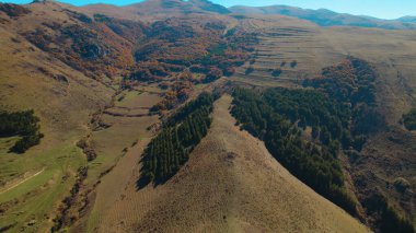 Avrupa 'daki Güzel Yoğunluk Ormanı (124; 4K Hava Aracı: Lush Green Woodland Manzarası 124; Doğal Çevre, Ağaçlar ve Yaban Hayatı - 124; Huzurlu Doğa, Çevre Turizmi ve Manzarası Ormanı