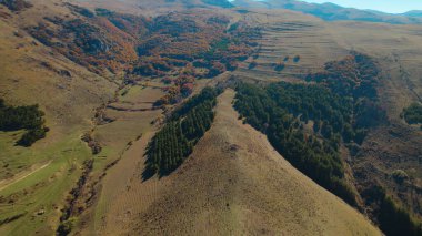 Avrupa 'daki Güzel Yoğunluk Ormanı (124; 4K Hava Aracı: Lush Green Woodland Manzarası 124; Doğal Çevre, Ağaçlar ve Yaban Hayatı - 124; Huzurlu Doğa, Çevre Turizmi ve Manzarası Ormanı