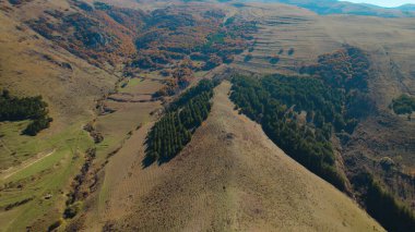 Avrupa 'daki Güzel Yoğunluk Ormanı (124; 4K Hava Aracı: Lush Green Woodland Manzarası 124; Doğal Çevre, Ağaçlar ve Yaban Hayatı - 124; Huzurlu Doğa, Çevre Turizmi ve Manzarası Ormanı