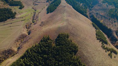 Avrupa 'daki Güzel Yoğunluk Ormanı (124; 4K Hava Aracı: Lush Green Woodland Manzarası 124; Doğal Çevre, Ağaçlar ve Yaban Hayatı - 124; Huzurlu Doğa, Çevre Turizmi ve Manzarası Ormanı