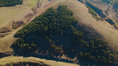 Avrupa 'daki Güzel Yoğunluk Ormanı (124; 4K Hava Aracı: Lush Green Woodland Manzarası 124; Doğal Çevre, Ağaçlar ve Yaban Hayatı - 124; Huzurlu Doğa, Çevre Turizmi ve Manzarası Ormanı