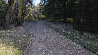 Avrupa 'daki Güzel Yoğunluk Ormanı (124; 4K Hava Aracı: Lush Green Woodland Manzarası 124; Doğal Çevre, Ağaçlar ve Yaban Hayatı - 124; Huzurlu Doğa, Çevre Turizmi ve Manzarası Ormanı