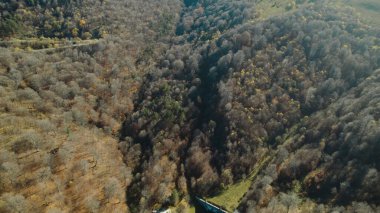 Avrupa 'daki Güzel Yoğun Orman (124; Lush Green Woodland Peyzajı' nın 4K İnsansız Hava Aracı Çekimi - 124; Doğal Çevre, Ağaçlar ve Yaban Hayatı - 124; Huzurlu Doğa, Çevre Turizmi ve Manzaralı Orman Fotoğrafları.