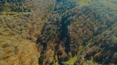 Avrupa 'daki Güzel Yoğun Orman (124; Lush Green Woodland Peyzajı' nın 4K İnsansız Hava Aracı Çekimi - 124; Doğal Çevre, Ağaçlar ve Yaban Hayatı - 124; Huzurlu Doğa, Çevre Turizmi ve Manzaralı Orman Fotoğrafları.