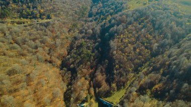 Avrupa 'daki Güzel Yoğun Orman (124; Lush Green Woodland Peyzajı' nın 4K İnsansız Hava Aracı Çekimi - 124; Doğal Çevre, Ağaçlar ve Yaban Hayatı - 124; Huzurlu Doğa, Çevre Turizmi ve Manzaralı Orman Fotoğrafları.