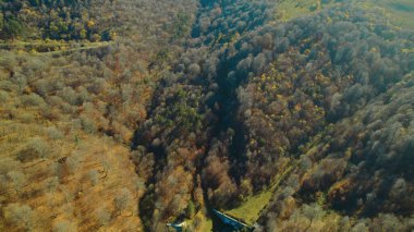 Avrupa 'daki Güzel Yoğun Orman (124; Lush Green Woodland Peyzajı' nın 4K İnsansız Hava Aracı Çekimi - 124; Doğal Çevre, Ağaçlar ve Yaban Hayatı - 124; Huzurlu Doğa, Çevre Turizmi ve Manzaralı Orman Fotoğrafları.