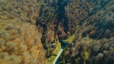 Avrupa 'daki Güzel Yoğun Orman (124; Lush Green Woodland Peyzajı' nın 4K İnsansız Hava Aracı Çekimi - 124; Doğal Çevre, Ağaçlar ve Yaban Hayatı - 124; Huzurlu Doğa, Çevre Turizmi ve Manzaralı Orman Fotoğrafları.