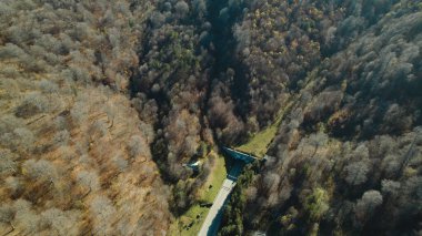 Avrupa 'daki Güzel Yoğun Orman (124; Lush Green Woodland Peyzajı' nın 4K İnsansız Hava Aracı Çekimi - 124; Doğal Çevre, Ağaçlar ve Yaban Hayatı - 124; Huzurlu Doğa, Çevre Turizmi ve Manzaralı Orman Fotoğrafları.