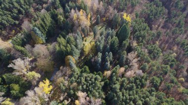 Avrupa 'da Güzel Yoğunluk Ormanı (124; 4K Hava Aracı: Lush Green Woodland Arazi Çekimi: 124; Doğal Çevre, Ağaçlar ve Vahşi Yaşam: 124; Huzurlu Doğa, Çevre, Çevre Turizmi ve Manzara Ormanı Fotoğrafı.