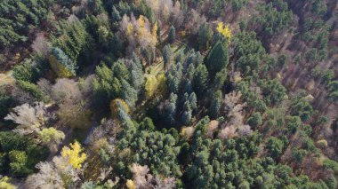 Avrupa 'da Güzel Yoğunluk Ormanı (124; 4K Hava Aracı: Lush Green Woodland Arazi Çekimi: 124; Doğal Çevre, Ağaçlar ve Vahşi Yaşam: 124; Huzurlu Doğa, Çevre, Çevre Turizmi ve Manzara Ormanı Fotoğrafı.