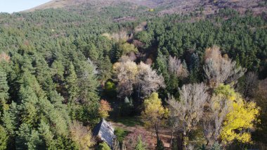 Avrupa 'da Güzel Yoğunluk Ormanı (124; 4K Hava Aracı: Lush Green Woodland Arazi Çekimi: 124; Doğal Çevre, Ağaçlar ve Vahşi Yaşam: 124; Huzurlu Doğa, Çevre, Çevre Turizmi ve Manzara Ormanı Fotoğrafı.