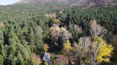 Avrupa 'da Güzel Yoğunluk Ormanı (124; 4K Hava Aracı: Lush Green Woodland Arazi Çekimi: 124; Doğal Çevre, Ağaçlar ve Vahşi Yaşam: 124; Huzurlu Doğa, Çevre, Çevre Turizmi ve Manzara Ormanı Fotoğrafı.