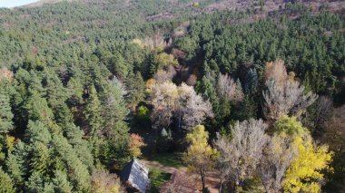 Avrupa 'da Güzel Yoğunluk Ormanı (124; 4K Hava Aracı: Lush Green Woodland Arazi Çekimi: 124; Doğal Çevre, Ağaçlar ve Vahşi Yaşam: 124; Huzurlu Doğa, Çevre, Çevre Turizmi ve Manzara Ormanı Fotoğrafı.