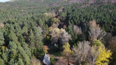 Avrupa 'da Güzel Yoğunluk Ormanı (124; 4K Hava Aracı: Lush Green Woodland Arazi Çekimi: 124; Doğal Çevre, Ağaçlar ve Vahşi Yaşam: 124; Huzurlu Doğa, Çevre, Çevre Turizmi ve Manzara Ormanı Fotoğrafı.