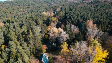 Avrupa 'da Güzel Yoğunluk Ormanı (124; 4K Hava Aracı: Lush Green Woodland Arazi Çekimi: 124; Doğal Çevre, Ağaçlar ve Vahşi Yaşam: 124; Huzurlu Doğa, Çevre, Çevre Turizmi ve Manzara Ormanı Fotoğrafı.