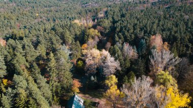 Avrupa 'da Güzel Yoğunluk Ormanı (124; 4K Hava Aracı: Lush Green Woodland Arazi Çekimi: 124; Doğal Çevre, Ağaçlar ve Vahşi Yaşam: 124; Huzurlu Doğa, Çevre, Çevre Turizmi ve Manzara Ormanı Fotoğrafı.