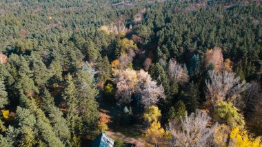 Avrupa 'da Güzel Yoğunluk Ormanı (124; 4K Hava Aracı: Lush Green Woodland Arazi Çekimi: 124; Doğal Çevre, Ağaçlar ve Vahşi Yaşam: 124; Huzurlu Doğa, Çevre, Çevre Turizmi ve Manzara Ormanı Fotoğrafı.