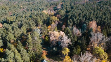 Avrupa 'da Güzel Yoğunluk Ormanı (124; 4K Hava Aracı: Lush Green Woodland Arazi Çekimi: 124; Doğal Çevre, Ağaçlar ve Vahşi Yaşam: 124; Huzurlu Doğa, Çevre, Çevre Turizmi ve Manzara Ormanı Fotoğrafı.