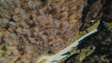 Avrupa 'da Güzel Yoğunluk Ormanı (124; 4K Hava Aracı: Lush Green Woodland Arazi Çekimi: 124; Doğal Çevre, Ağaçlar ve Vahşi Yaşam: 124; Huzurlu Doğa, Çevre, Çevre Turizmi ve Manzara Ormanı Fotoğrafı.