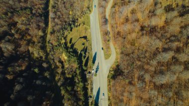 Avrupa 'da Güzel Yoğunluk Ormanı (124; 4K Hava Aracı: Lush Green Woodland Arazi Çekimi: 124; Doğal Çevre, Ağaçlar ve Vahşi Yaşam: 124; Huzurlu Doğa, Çevre, Çevre Turizmi ve Manzara Ormanı Fotoğrafı.