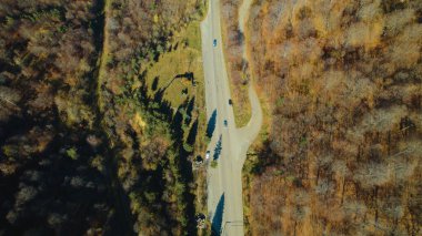 Avrupa 'da Güzel Yoğunluk Ormanı (124; 4K Hava Aracı: Lush Green Woodland Arazi Çekimi: 124; Doğal Çevre, Ağaçlar ve Vahşi Yaşam: 124; Huzurlu Doğa, Çevre, Çevre Turizmi ve Manzara Ormanı Fotoğrafı.