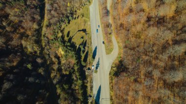 Avrupa 'da Güzel Yoğunluk Ormanı (124; 4K Hava Aracı: Lush Green Woodland Arazi Çekimi: 124; Doğal Çevre, Ağaçlar ve Vahşi Yaşam: 124; Huzurlu Doğa, Çevre, Çevre Turizmi ve Manzara Ormanı Fotoğrafı.