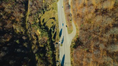 Avrupa 'da Güzel Yoğunluk Ormanı (124; 4K Hava Aracı: Lush Green Woodland Arazi Çekimi: 124; Doğal Çevre, Ağaçlar ve Vahşi Yaşam: 124; Huzurlu Doğa, Çevre, Çevre Turizmi ve Manzara Ormanı Fotoğrafı.