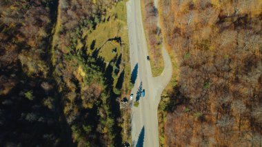 Avrupa 'da Güzel Yoğunluk Ormanı (124; 4K Hava Aracı: Lush Green Woodland Arazi Çekimi: 124; Doğal Çevre, Ağaçlar ve Vahşi Yaşam: 124; Huzurlu Doğa, Çevre, Çevre Turizmi ve Manzara Ormanı Fotoğrafı.