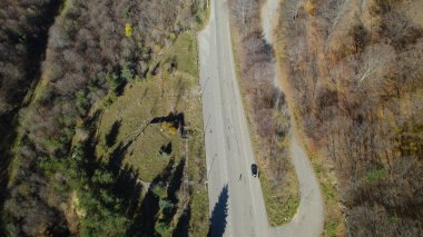 Avrupa 'da Güzel Yoğunluk Ormanı (124; 4K Hava Aracı: Lush Green Woodland Arazi Çekimi: 124; Doğal Çevre, Ağaçlar ve Vahşi Yaşam: 124; Huzurlu Doğa, Çevre, Çevre Turizmi ve Manzara Ormanı Fotoğrafı.