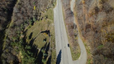 Avrupa 'da Güzel Yoğunluk Ormanı (124; 4K Hava Aracı: Lush Green Woodland Arazi Çekimi: 124; Doğal Çevre, Ağaçlar ve Vahşi Yaşam: 124; Huzurlu Doğa, Çevre, Çevre Turizmi ve Manzara Ormanı Fotoğrafı.