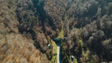 Avrupa 'daki Güzel Yoğunluk Ormanı (124; 4K Hava Aracı: Lush Green Woodland Manzarası 124; Doğal Çevre, Ağaçlar ve Yaban Hayatı - 124; Huzurlu Doğa, Çevre Turizmi ve Manzarası Ormanı 